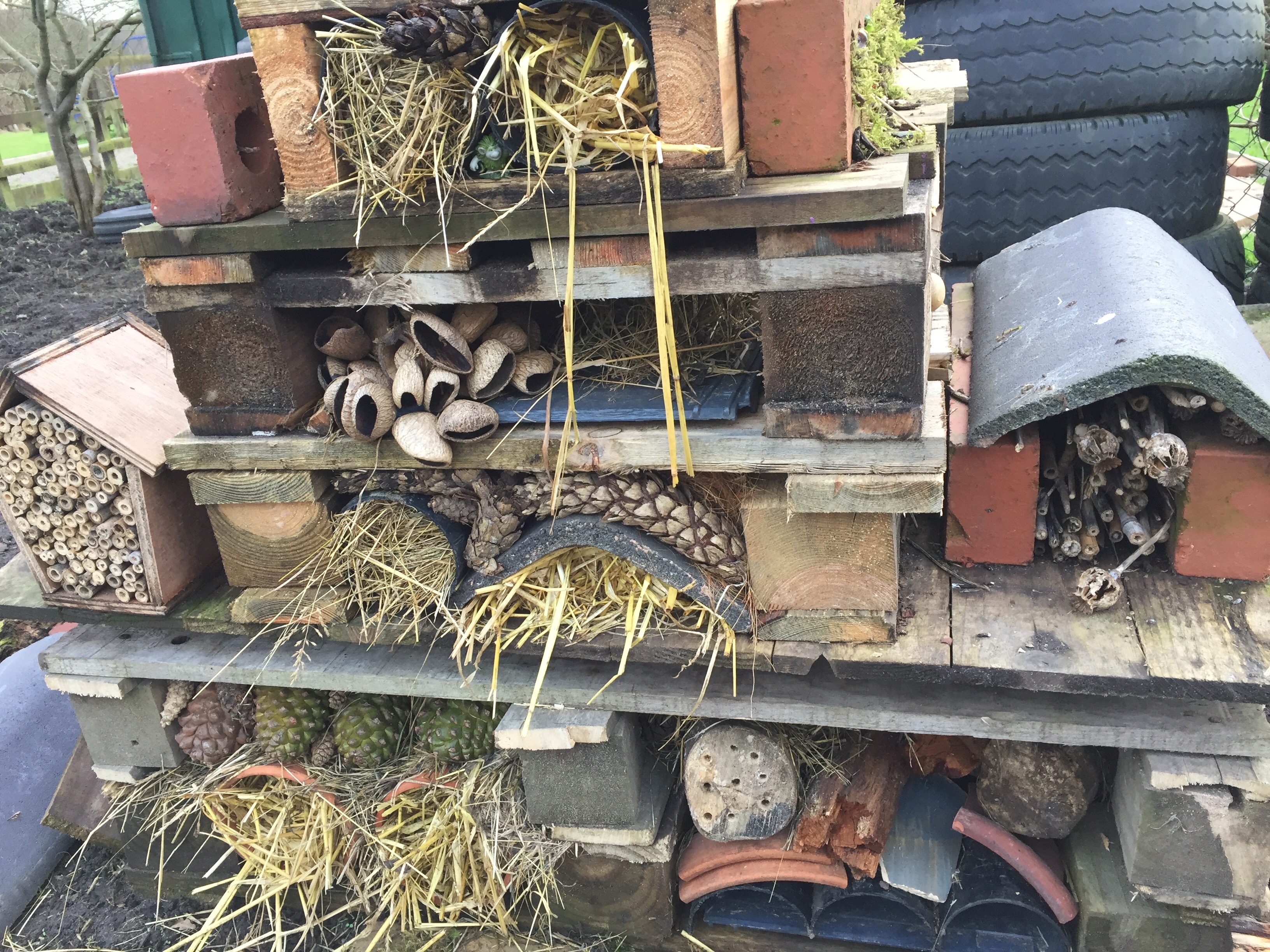 Our bug hotel is officially open!