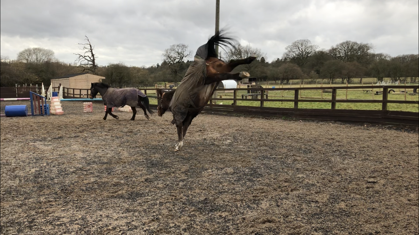 Jumping Into January